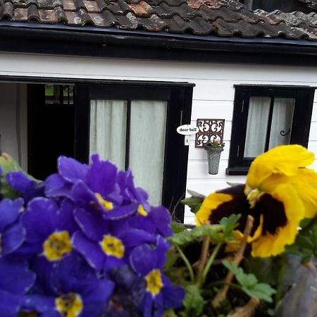Rose Farm Bed and Breakfast Honiton Esterno foto