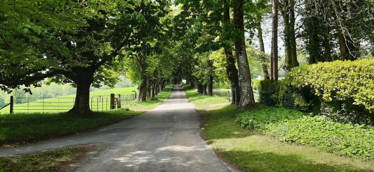 Rose Farm Bed and Breakfast Honiton Esterno foto