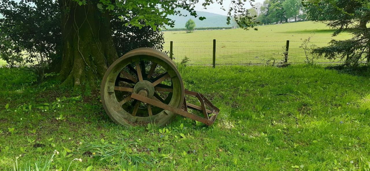 Rose Farm Bed and Breakfast Honiton Esterno foto