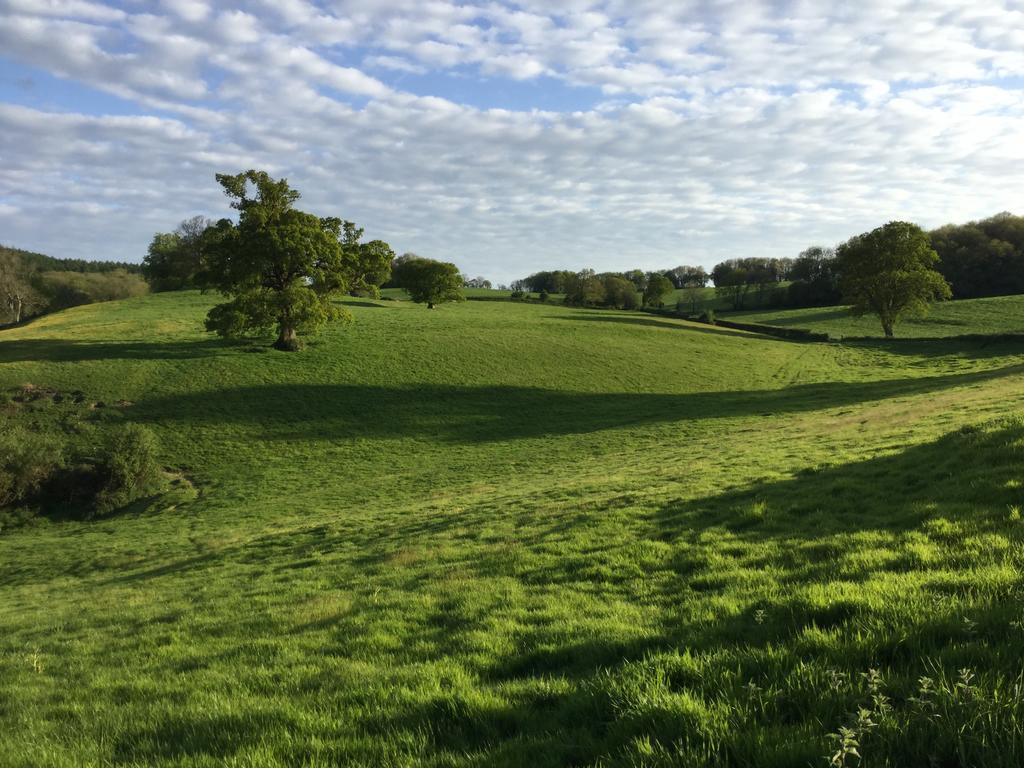 Rose Farm Bed and Breakfast Honiton Esterno foto
