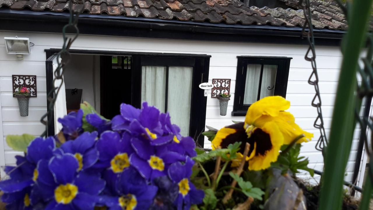 Rose Farm Bed and Breakfast Honiton Esterno foto