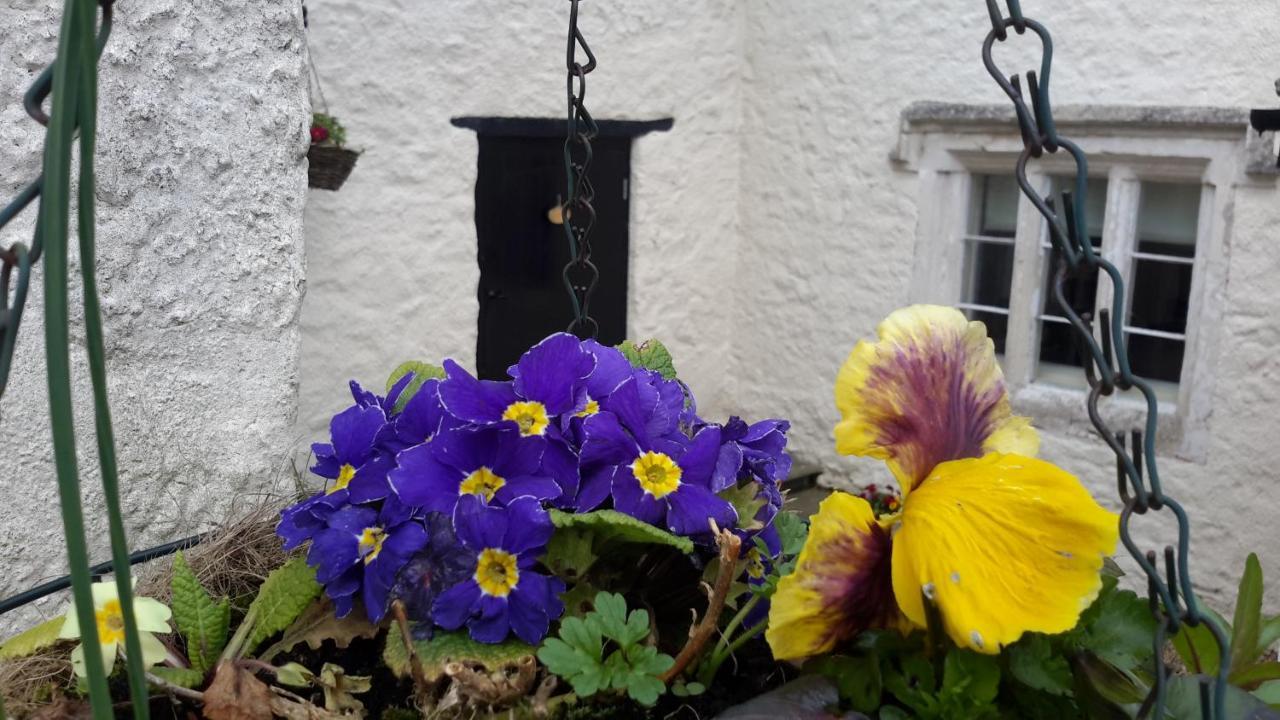 Rose Farm Bed and Breakfast Honiton Esterno foto
