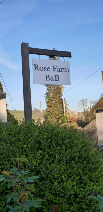 Rose Farm Bed and Breakfast Honiton Esterno foto