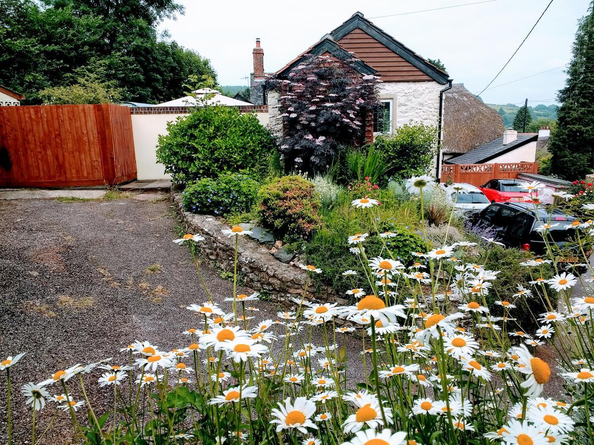 Rose Farm Bed and Breakfast Honiton Esterno foto