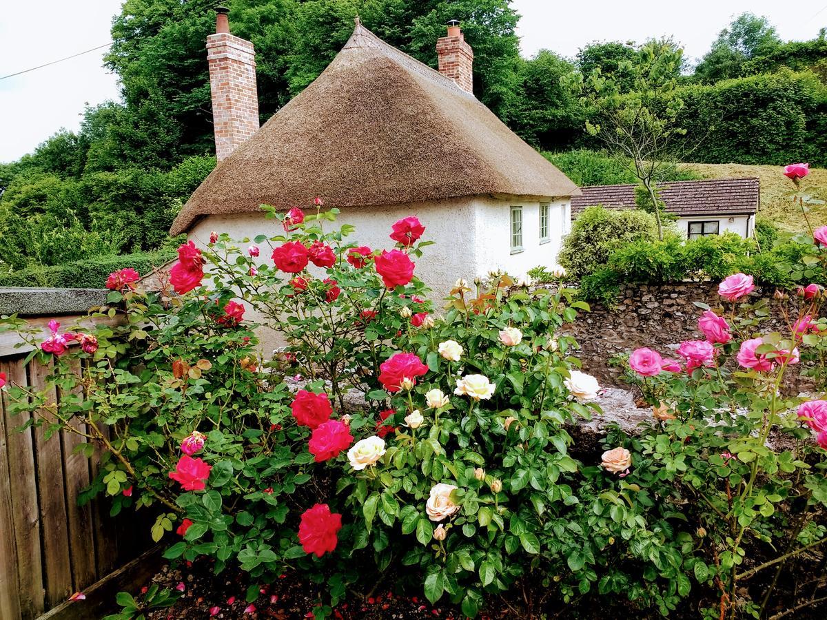 Rose Farm Bed and Breakfast Honiton Esterno foto