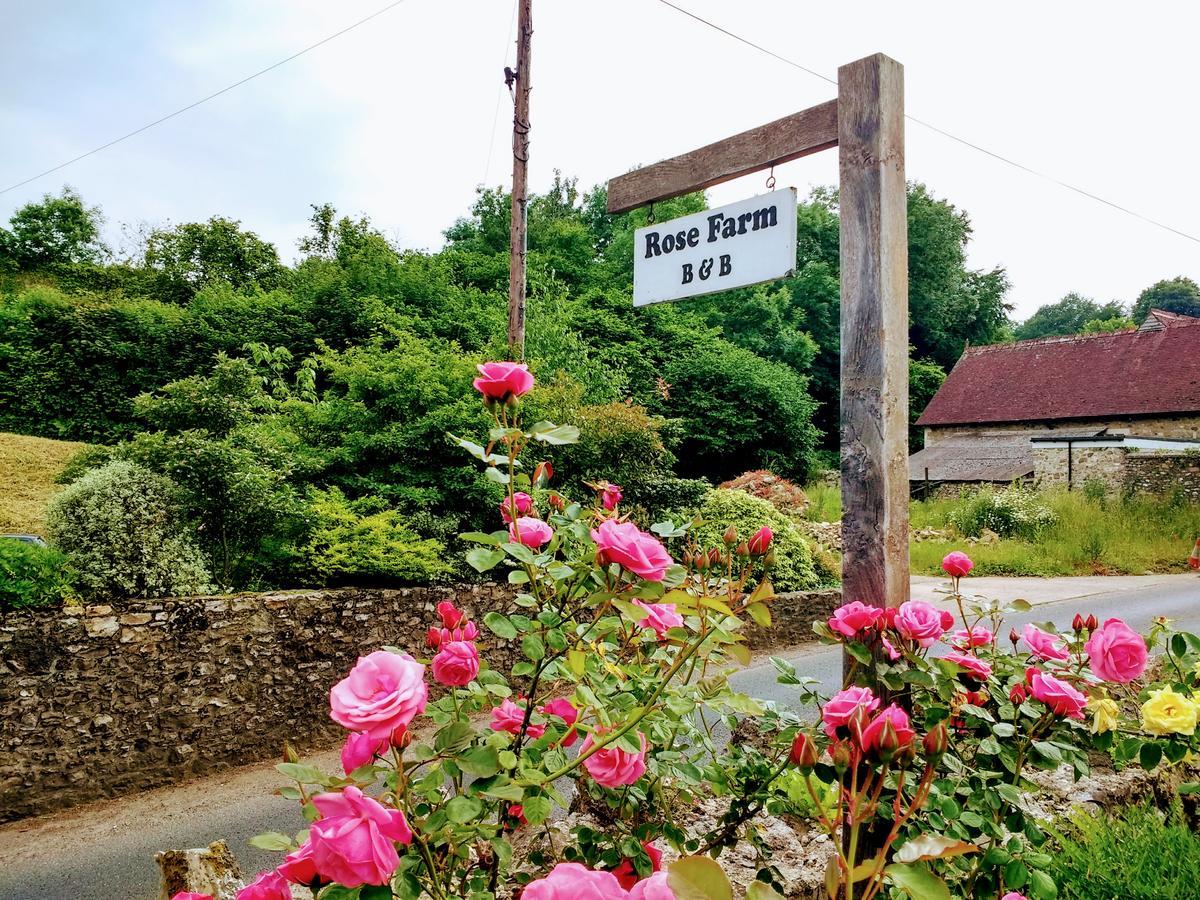 Rose Farm Bed and Breakfast Honiton Esterno foto